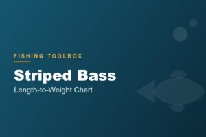 Striped Bass length to weight chart